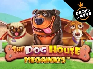 The Dog House Megaways